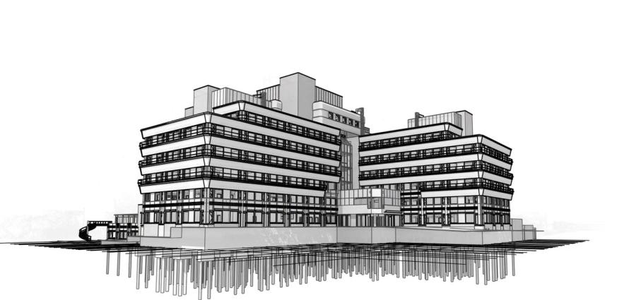 3d bim in Revit DSM